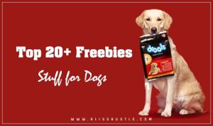 Free Dog Stuff